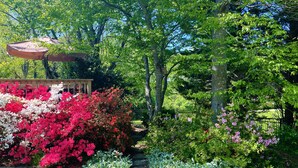 Un jardín con diversas plantas florecientes y un banco de madera.