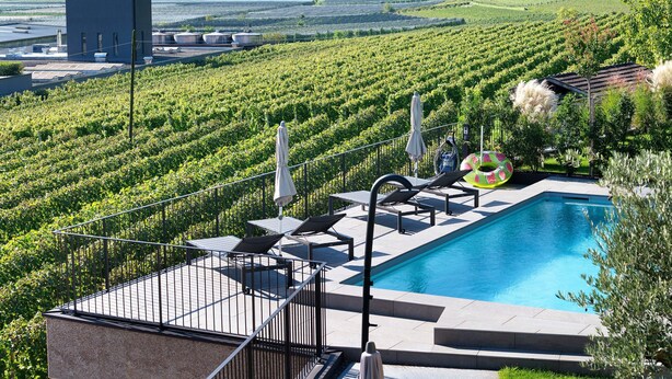 A pool with lounge chairs and a view of a vineyard.