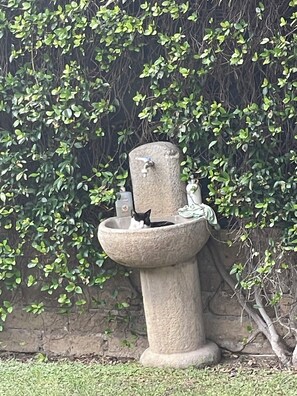 外觀