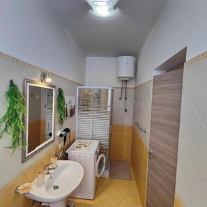 Shower, hair dryer, bidet, towels