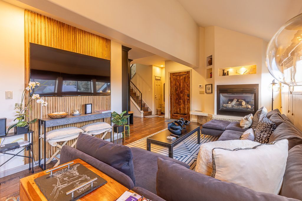 TV, fireplace, books