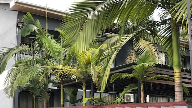 Un edificio de varios pisos, con un letrero que indica un restaurante o bar, y varias plantas en macetas a lo largo de la pared exterior.