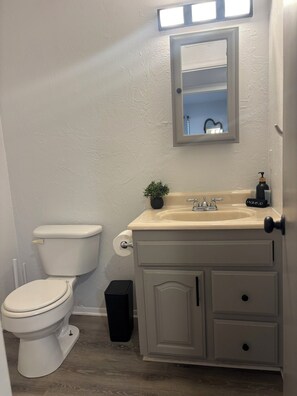 A bathroom with a toilet, sink, and mirror. - Game Day Ready - Walk to OSU Campus (Stillwater)