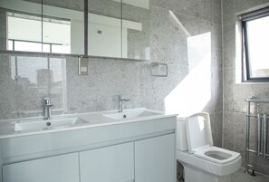Shower, towels, soap, toilet paper