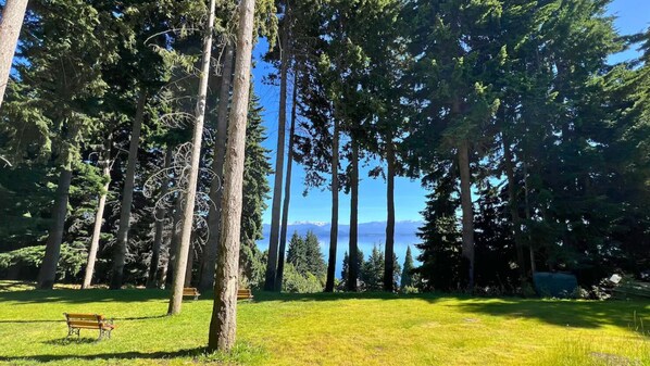Un parque con árboles altos, un banco y vistas a un lago y montañas.