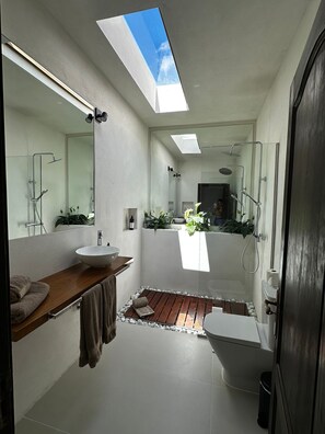 Regadera, secadora de cabello, bidet, toallas 