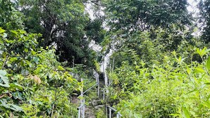 Un escalier en pierre, bordé d’une végétation luxuriante, mène à un point plus élevé.
