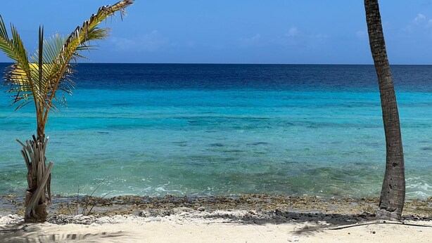 Ein Strand mit klarem türkisblauem Wasser, Palmen und einem Sandstrand.