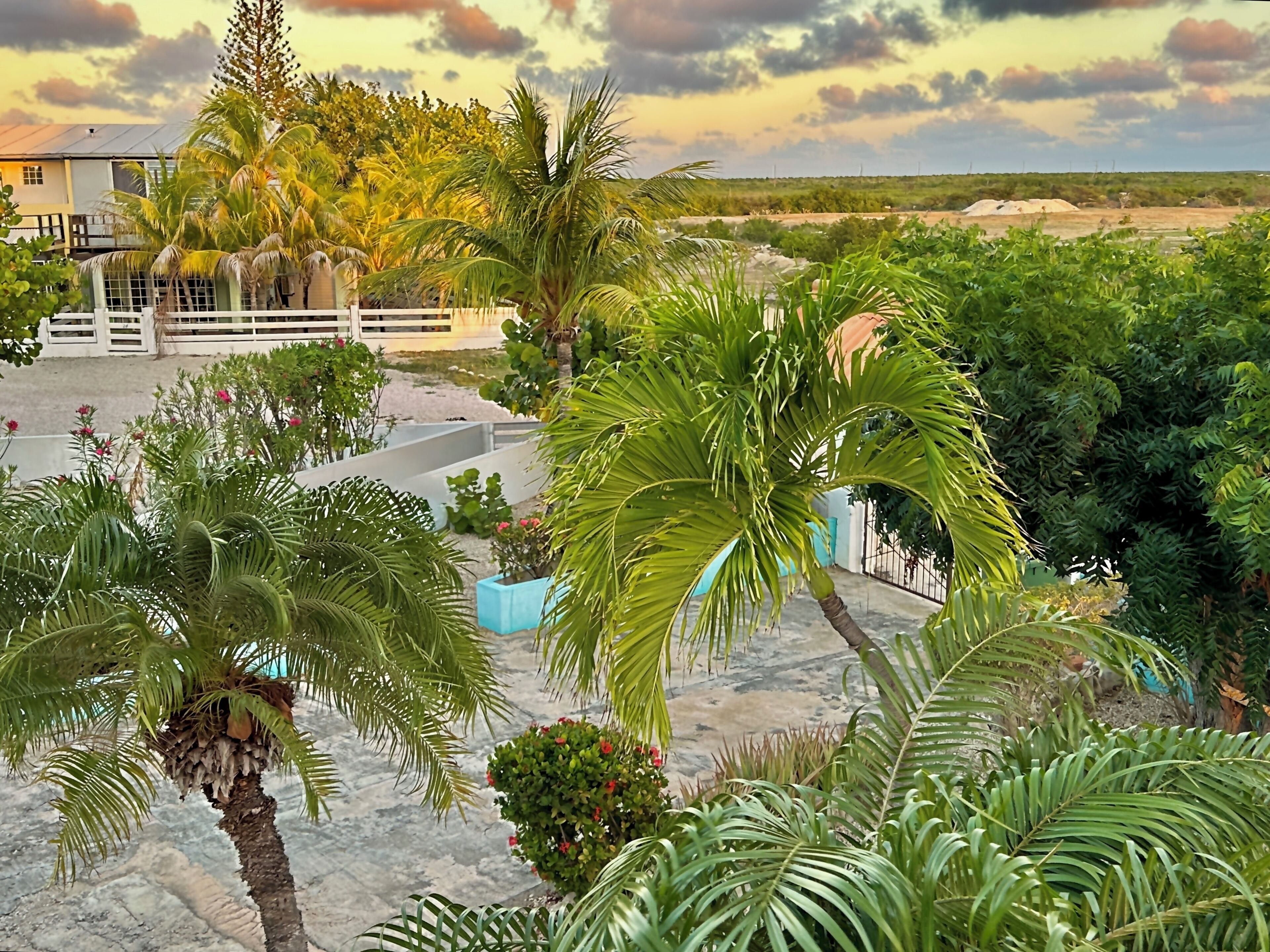 A landscaped garden with palm trees, a white fence, and a building in the background.