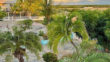 A landscaped garden with palm trees, a white fence, and a building in the background.