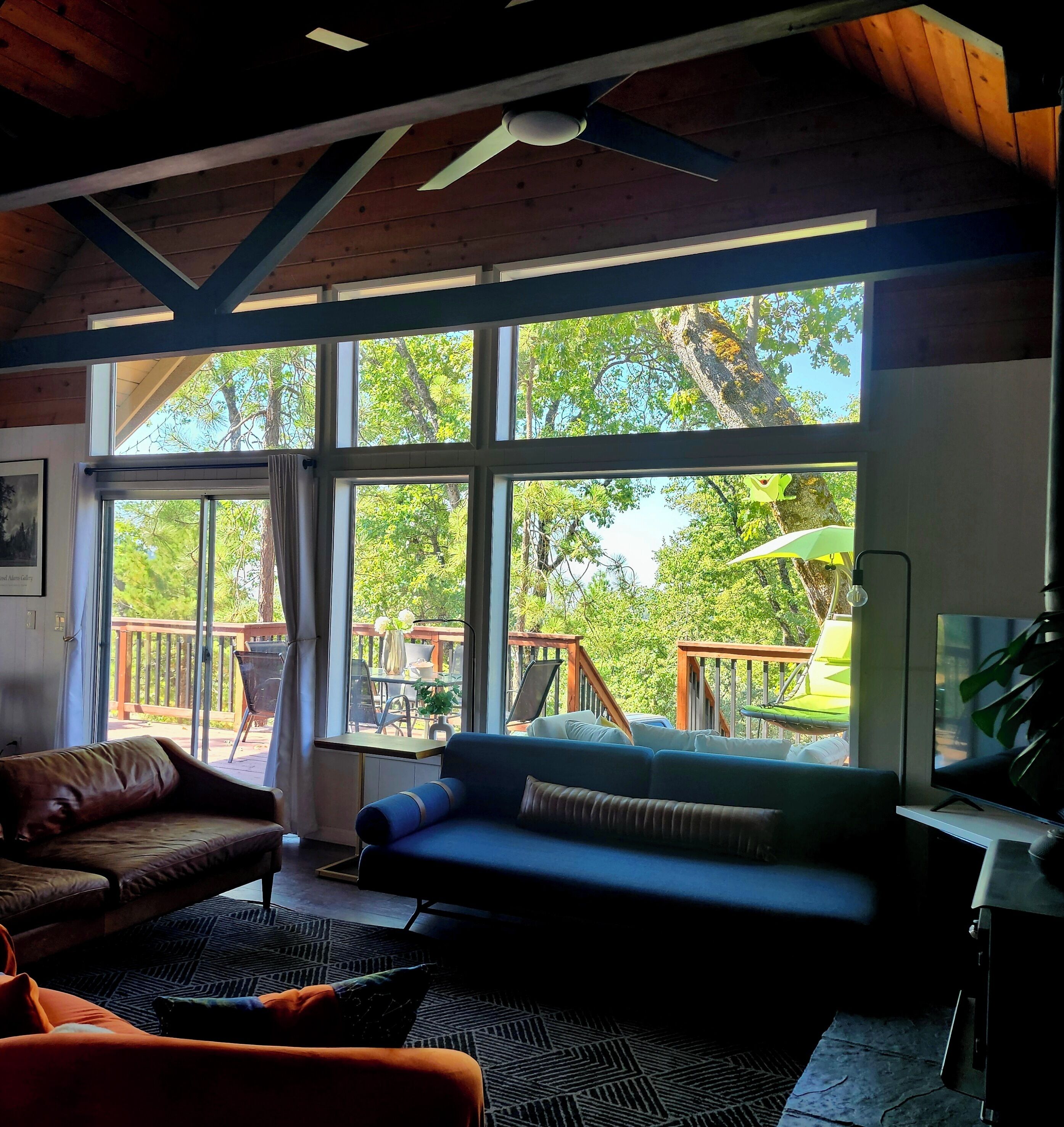 Smart TV, video games, DVD player, books