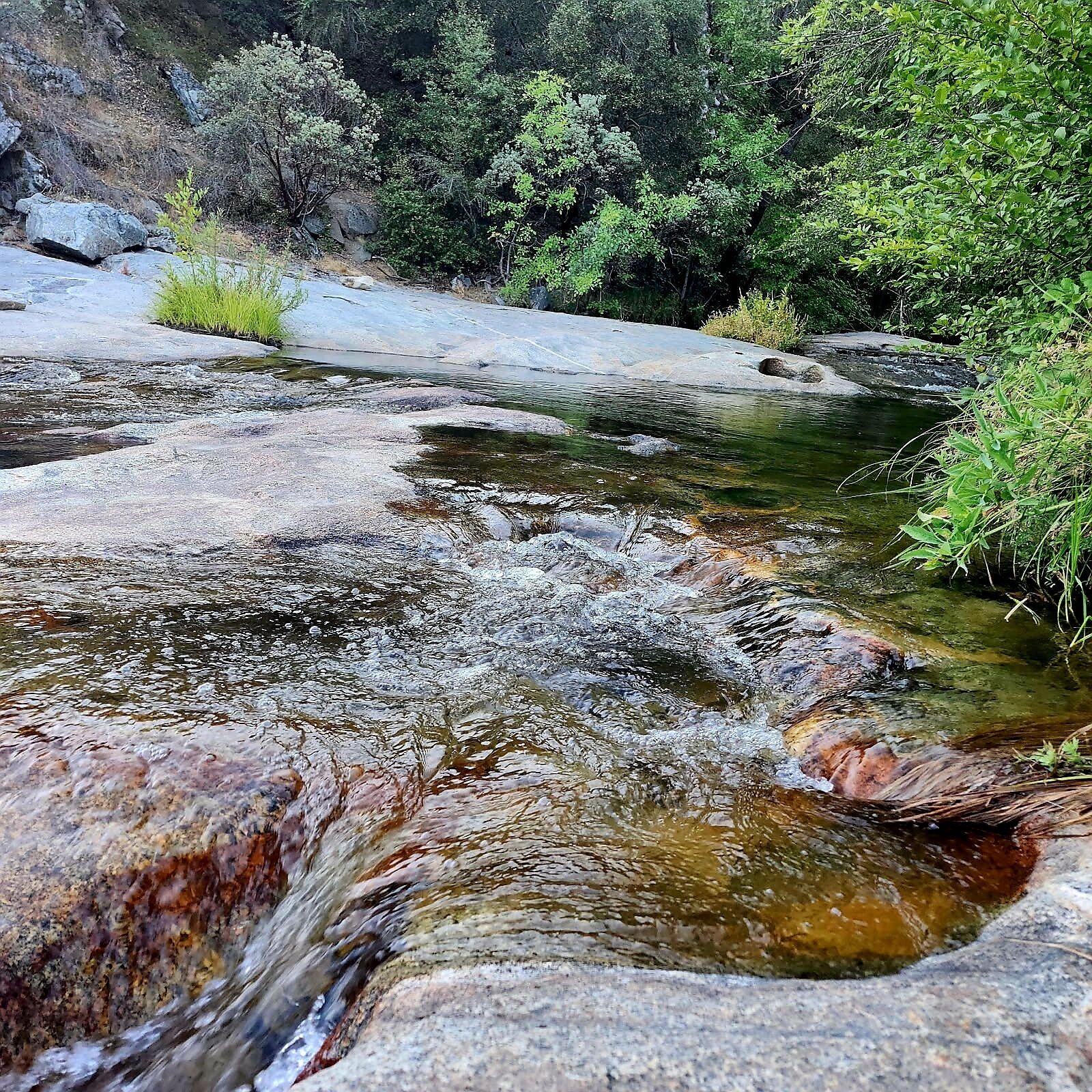 A clear stream flowing over rocks with surrounding greenery.