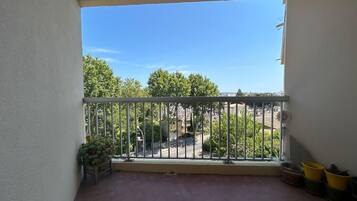 Ein Balkon mit Metallgeländer, Blumentöpfen und Blick auf eine Straße und Bäume.