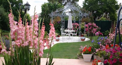 Guest Room Jasse Perdrix