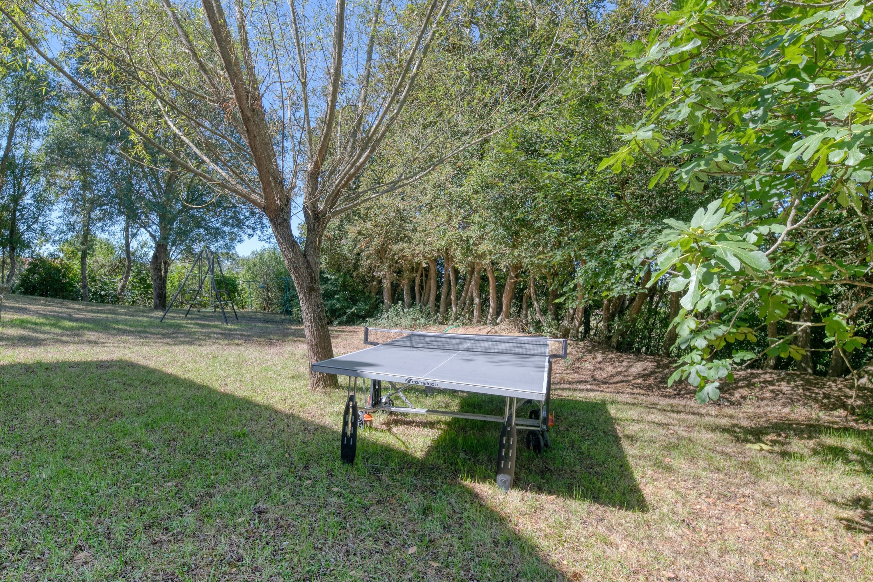 Un tavolo da ping pong portatile in una zona erbosa con alberi sullo sfondo.