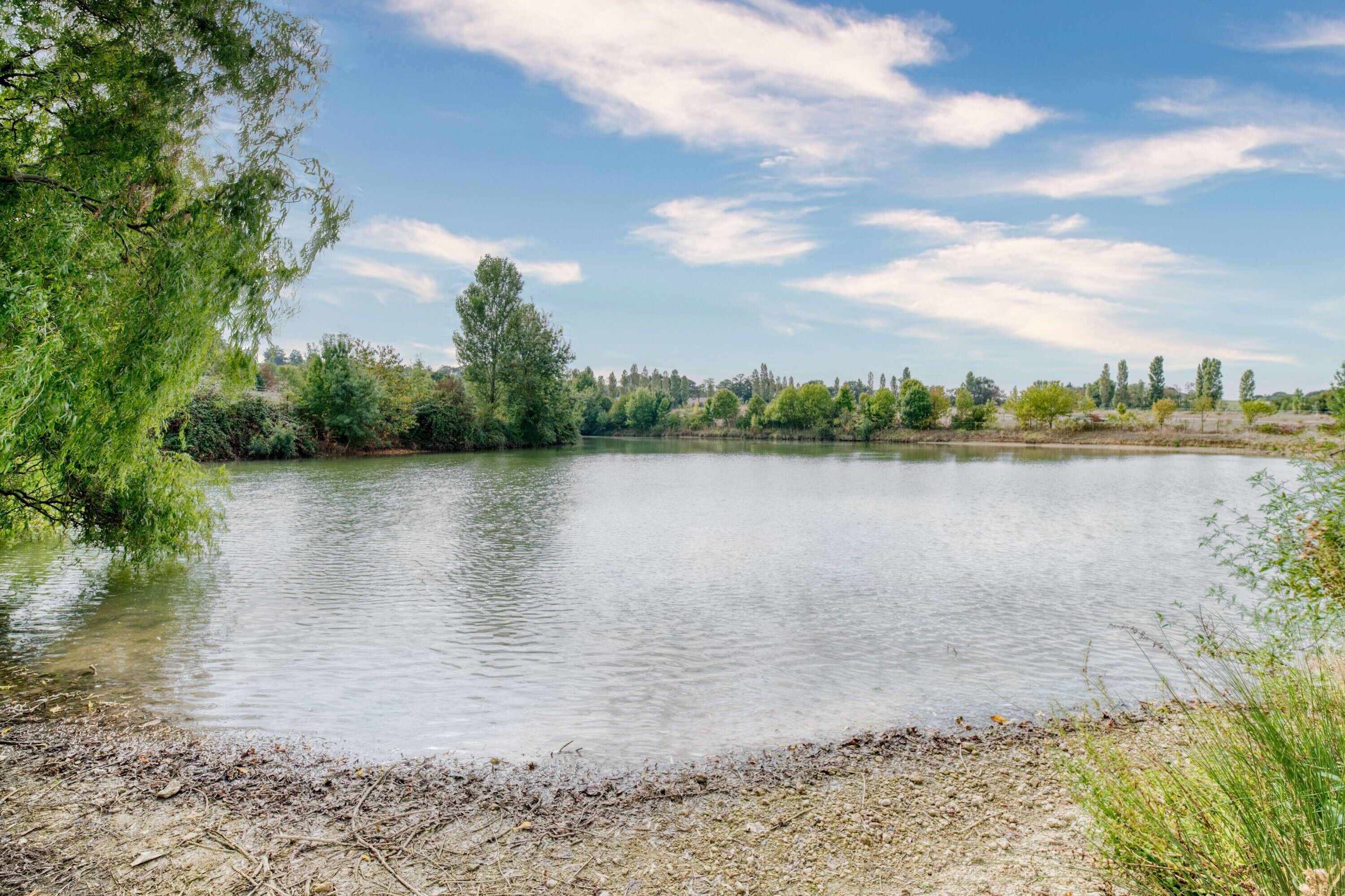 Ein ruhiger See, umgeben von Bäumen und Pflanzen.