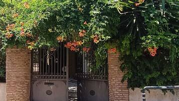 Detalle del exterior