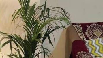 1 bedroom, Internet, bed sheets