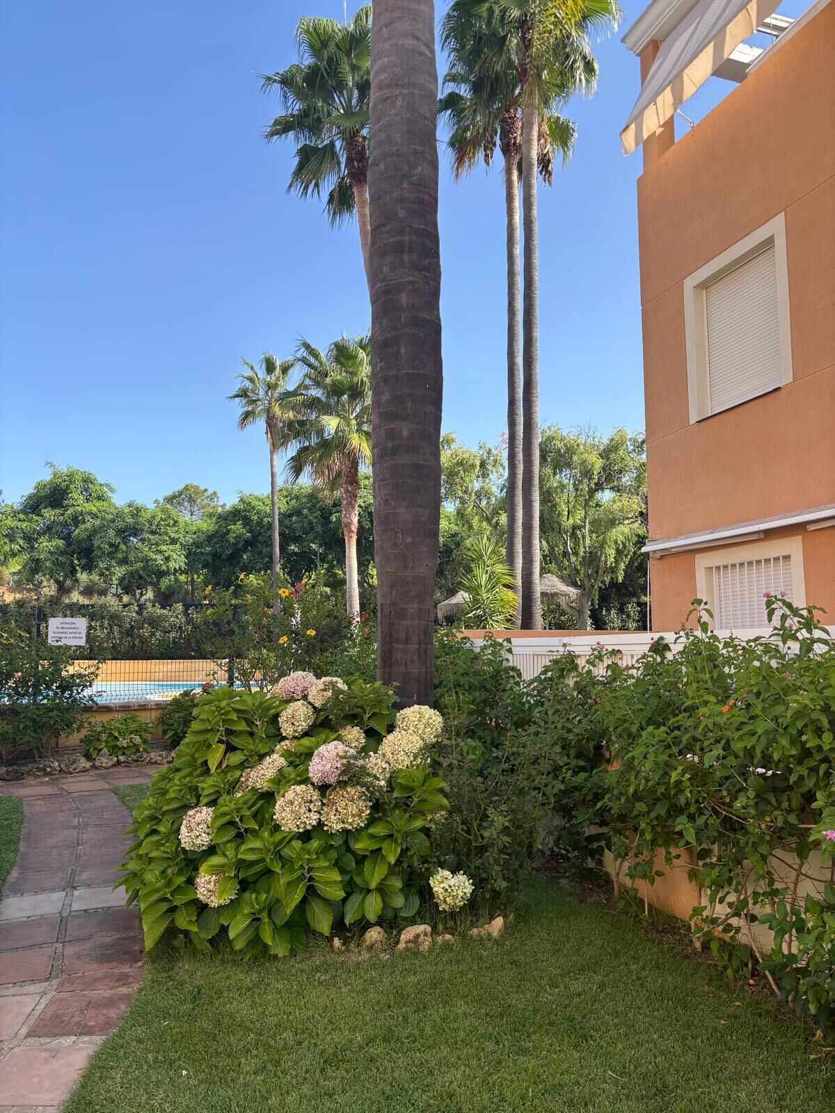 Un jardín bien cuidado con un sendero, palmeras y un edificio con una ventana.