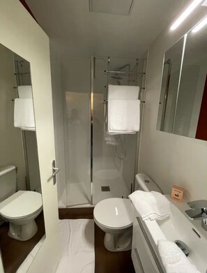 Secador de cabelo, toalhas de banho, papel higiênico 