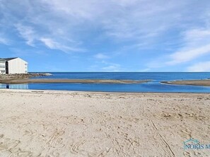 在海灘附近