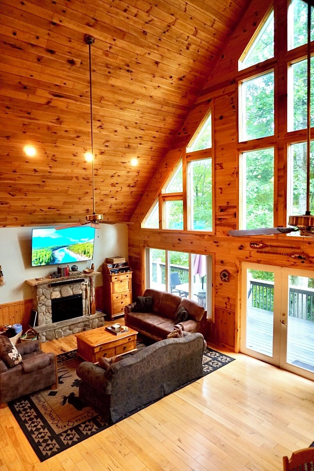 Smart TV, fireplace, DVD player, books