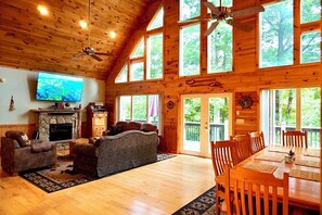 Smart TV, fireplace, DVD player, books