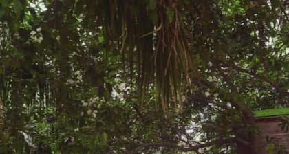 Private farm house with BBQ set up & projector