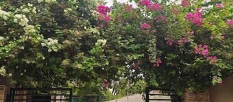 Private farm house with BBQ set up & projector