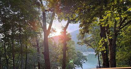 3-bedroom house in beautiful Lake Lure with lake view!