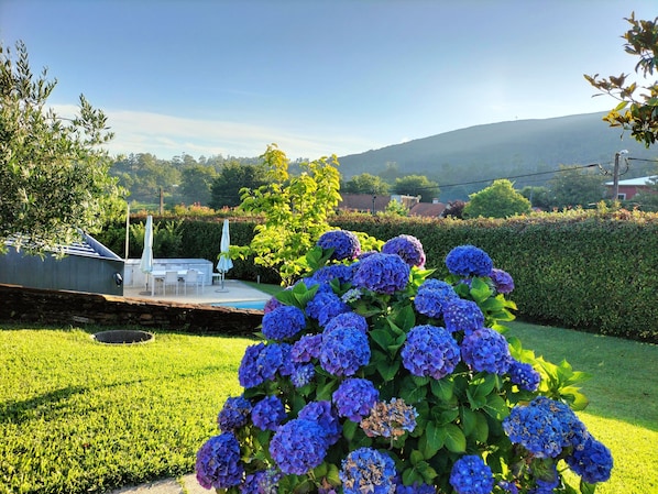 A garden with hydrangea bushes, a patio with outdoor furniture, and a view of a hill in the background.