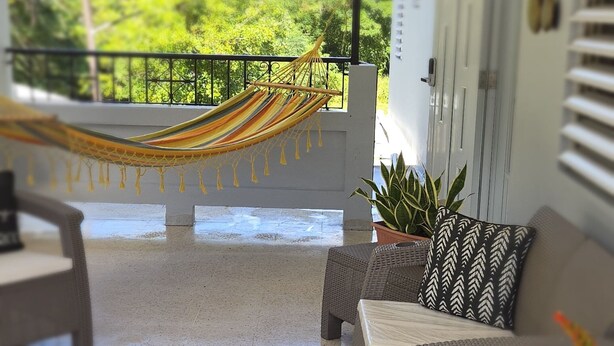 Una sala de estar con sofá, sillón, hamaca y planta en maceta.