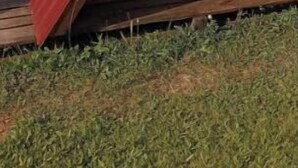 Una estructura pequeña y triangular, similar a una tienda de campaña, con techo inclinado, suelo de madera y terreno cubierto de hierba.