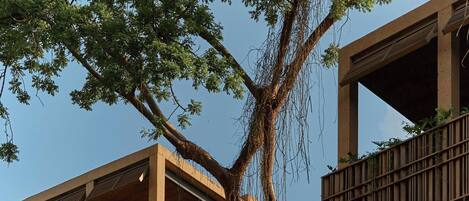 Un edificio moderno con un gran árbol en primer plano, balcones y abundante vegetación.