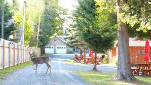 A gravel path leading to a wooden building with picnic tables and chairs, surrounded by trees and a wooden fence. - Polar Bear Cabin at The Bears Cottages (Inlet)