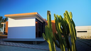 Un bâtiment moderne doté d’un toit plat, avec un grand cactus en premier plan.