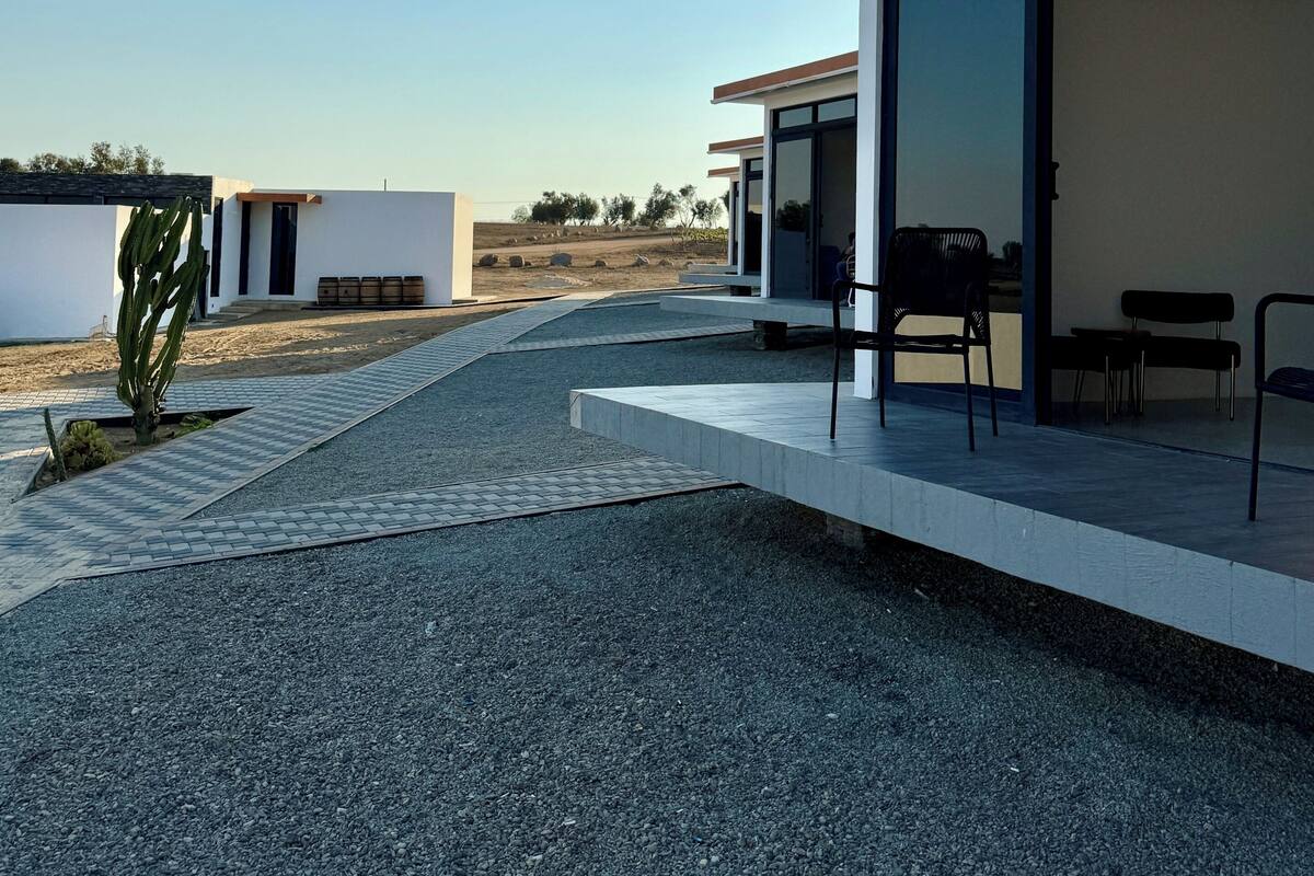 Um edifício moderno com telhado plano, grandes janelas de vidro e um pátio pavimentado com área de estar ao ar livre.