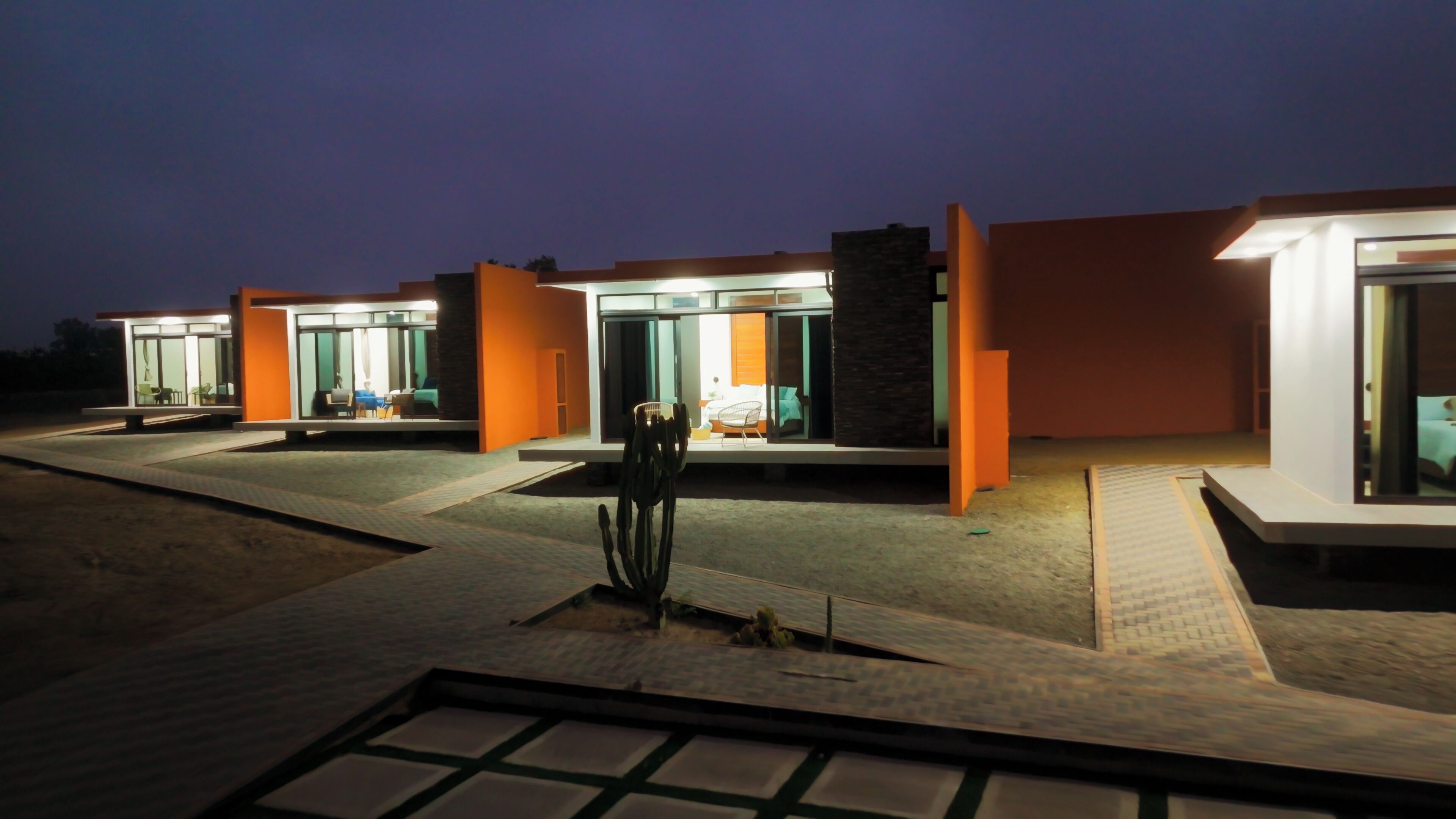 A modern building with multiple glass doors and a cactus in the foreground.