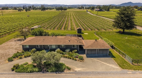 A house with a garage, surrounded by a vineyard, with a clear sky.. Enchanting Vineyard cottage nestled in the wine country!