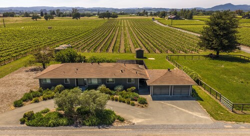 Enchanting Vineyard cottage nestled in the wine country!