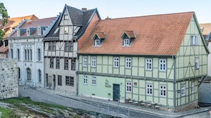 Ein traditionelles europäisches Gebäude mit grüner Fassade, zahlreichen Fenstern und einem roten Ziegeldach.