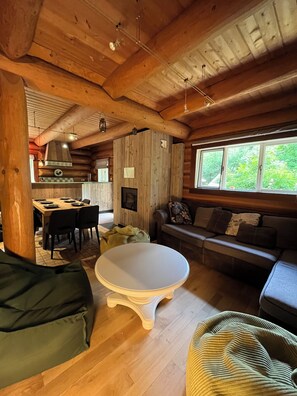 TV, fireplace, DVD player