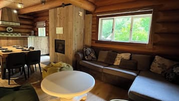 TV, fireplace, DVD player