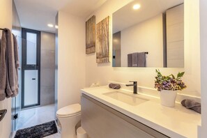 Shower, hair dryer, towels