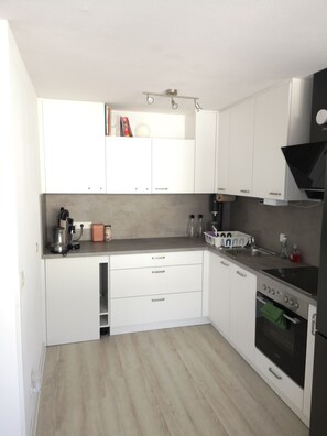 Oven, stovetop, dishwasher