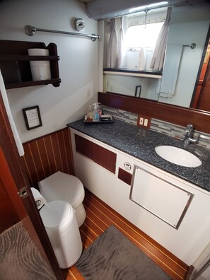 Shower, towels, soap, toilet paper