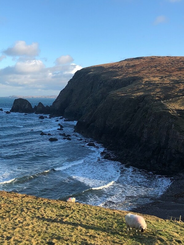 Room - SEApods Luxury Glamping - Isle of Lewis (Isle of Lewis)