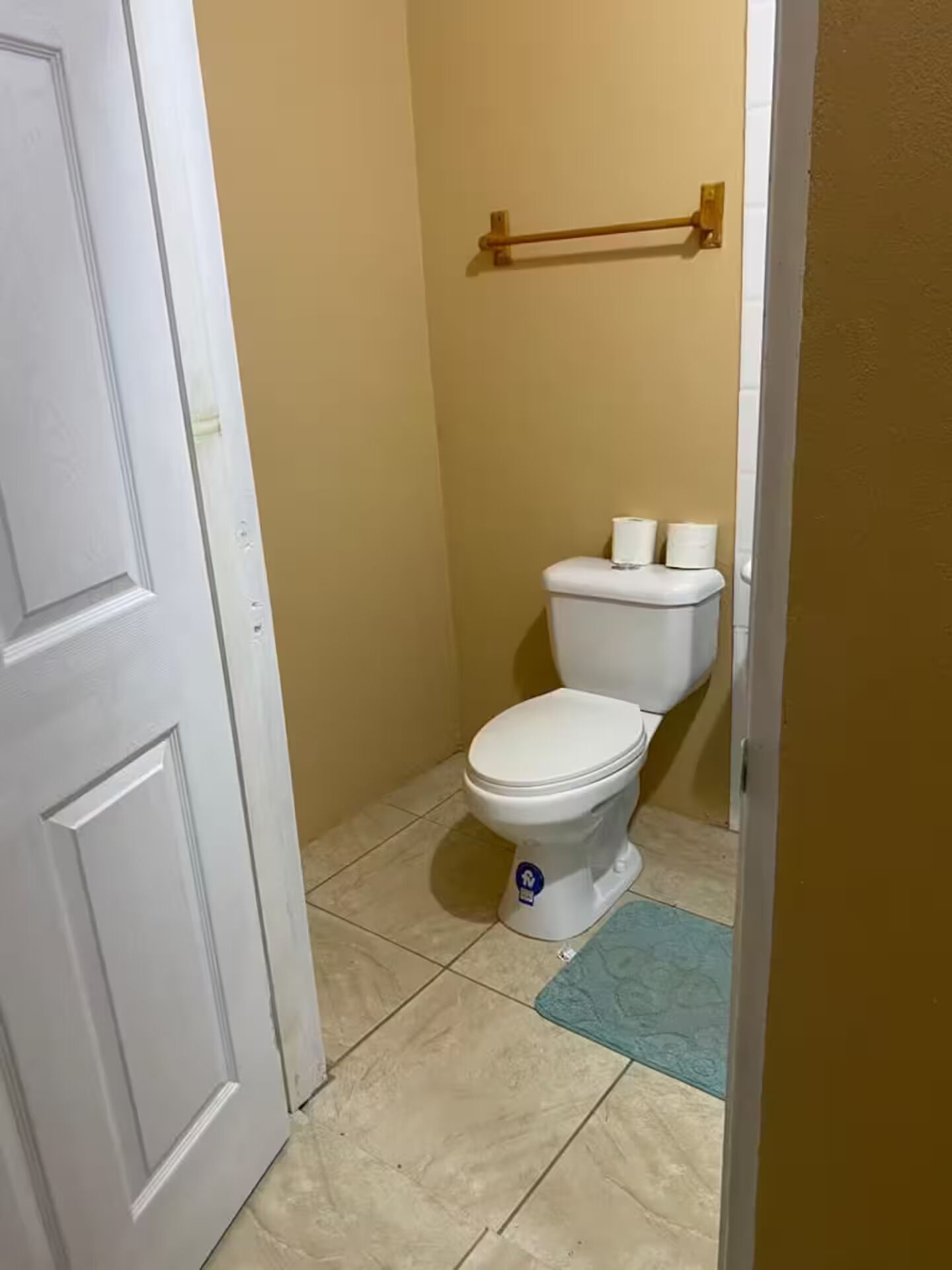 A small, clean bathroom with a toilet, a towel rack, and a mat on the floor.