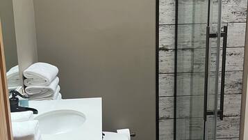 Shower, towels, toilet paper