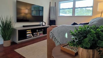 Smart TV, fireplace, books, stereo